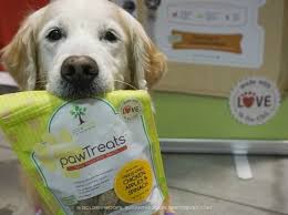 Puppy holding PawTreats bag