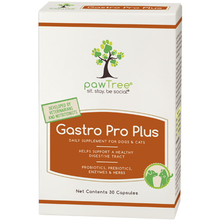 PawTree Gastro Pro Plus Daily Supplement Box