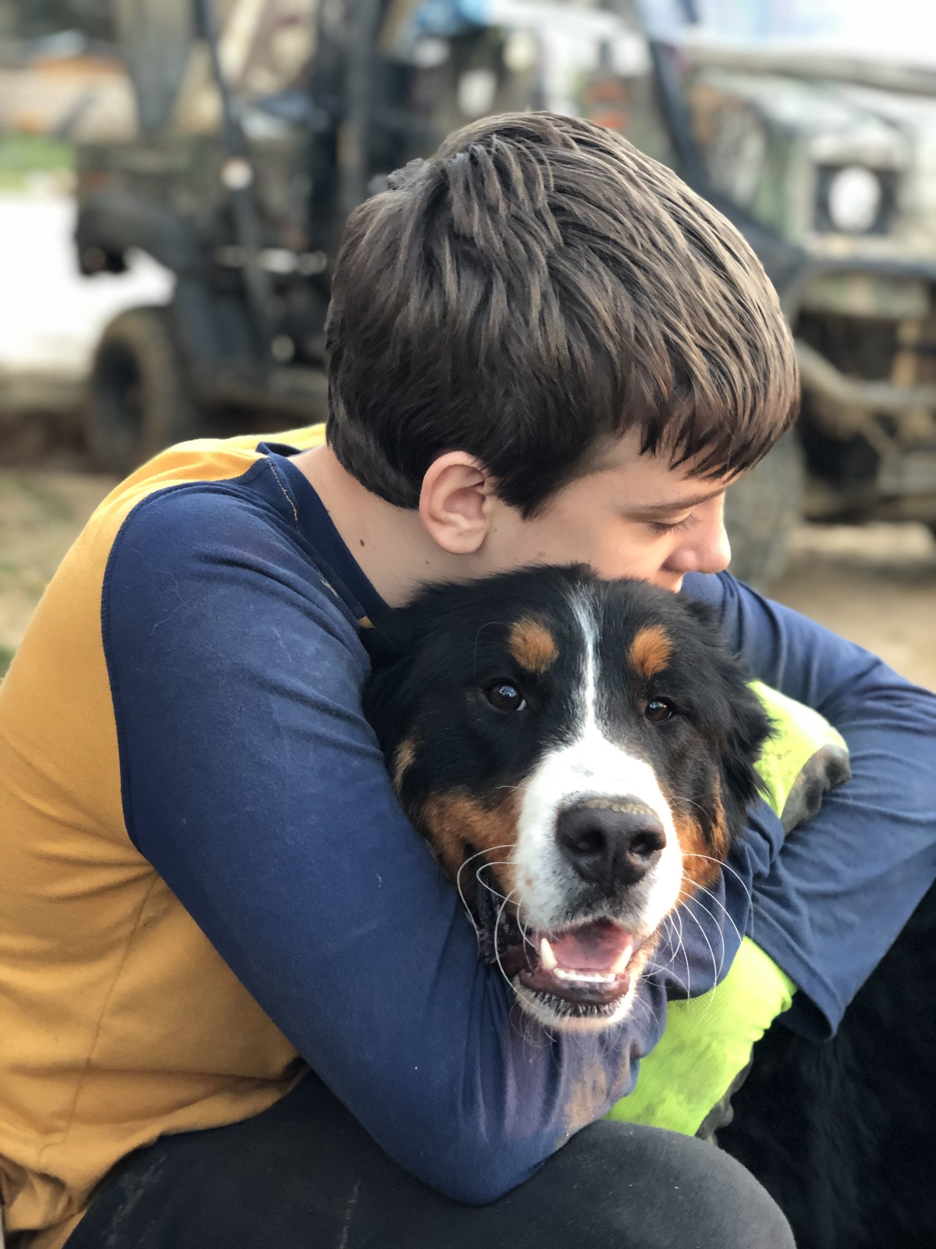 Dog Rehoming in Midland, NC Natural Breed Kennels