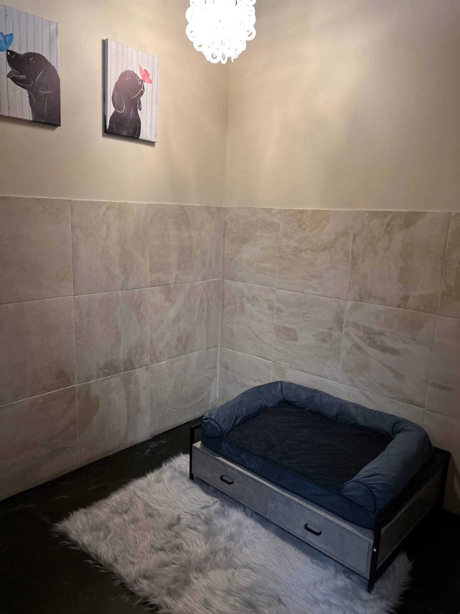 Affordable Luxury Hotels for Dogs in North Carolina NaturalBreedKennel