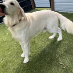 103A4D30-CAB0-4840-91A2-D0C1C3C428EC