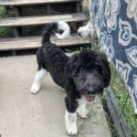 27755490-85C3-4015-B839-D628577152FD