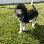 2F16B3BE-D874-4E03-96B7-0B6FD35C1F46