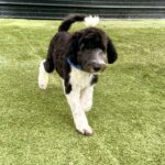 63FF7CEC-4592-49B8-8F04-88DF8E60E59B_1_201_a