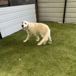 AFD2AE07-2EF0-48E6-B307-86C056DED233