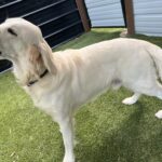 B84B8BA8-C857-4EEC-AC3F-F04E44956BD6