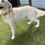 C7F20995-023C-4466-94E9-2E4763DEAAD6