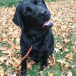 CjQKMFNuYXBjaGF0LzEzLjU5LjEuMCAoaVBob25lOSwxOyBpT1MgMTUuOC40OyBnemlwKSAC