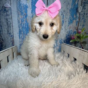 Rosalind